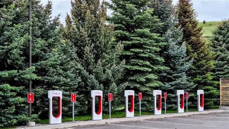 Row of white-and-red Tesla Supercharger stalls with NACS charging cables lined up in front of evergreen trees in Missoula, Montana